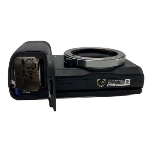 SONY ミラーレス一眼カメラ SIGMAレンズ(19 1:2.8 EX DN Eマウント)付 NEX-6 25361