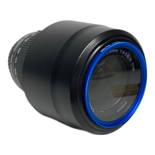 CANON (キヤノン) ズームレンズ 55～250 mm 1379103513