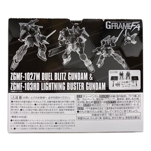 BANDAI (バンダイ) 機動戦士ガンダム GフレームFA デュエルブリッツガンダム＆ライトニングバスターガンダム プラモデル