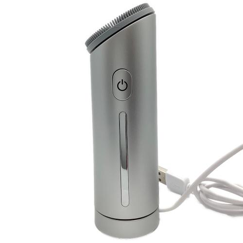 SALONIA (サロニア) イオンフェイスブラシ SAL21202SL