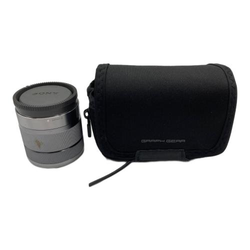 SONY (ソニー) ミラーレス一眼カメラ NEX-C3D 別売りGRAPH GEARケース付