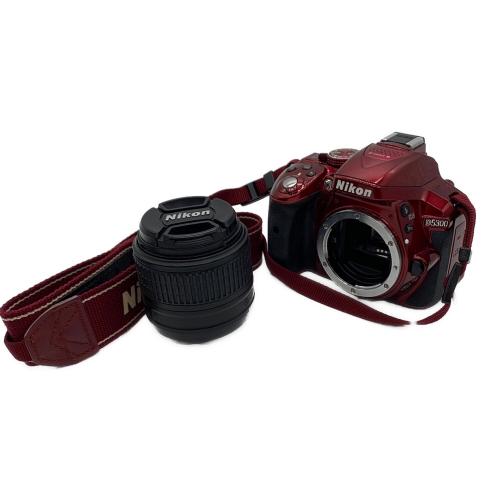 Nikon (ニコン) デジタル一眼レフカメラ D5300