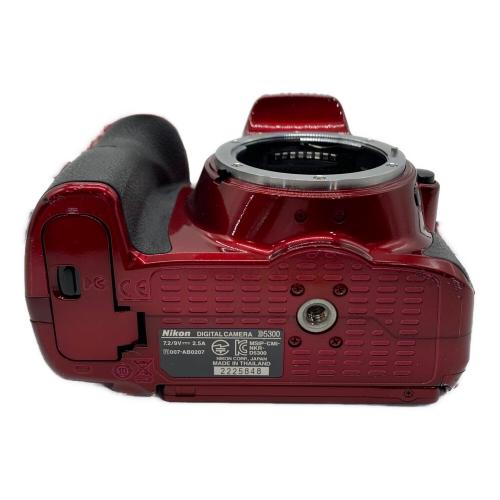 Nikon (ニコン) デジタル一眼レフカメラ D5300