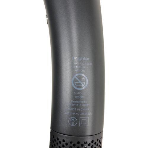 Brighte (ブライト) ヘアードライヤー BRT-SD173