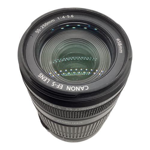 CANON (キャノン) 一眼レフカメラ DS126181 液晶ヤケ有