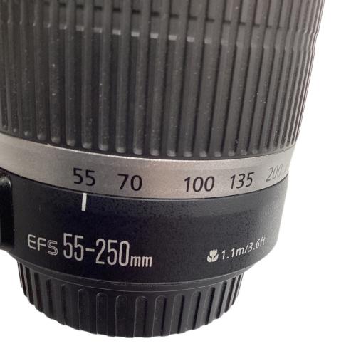 CANON (キャノン) 一眼レフカメラ DS126181 液晶ヤケ有