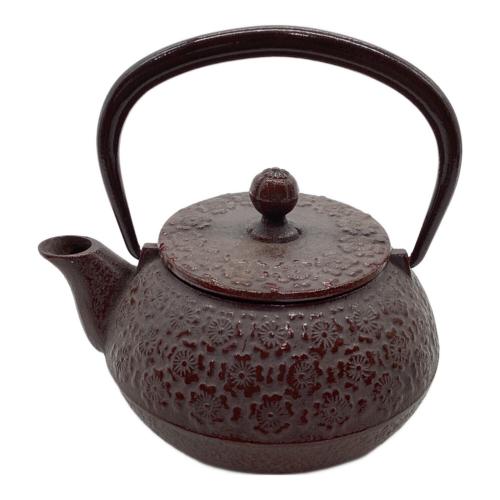 岩鋳 (イワチュウ) 急須 南部鉄器