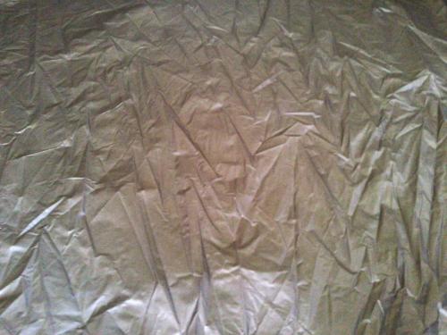 ROBENS (ローベンス) ドームテント 130251 ゴスホーク2 約300×240×105cm 1～2人用