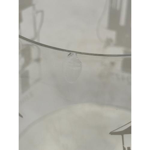 Coleman (コールマン) ガソリンランタン 290 Limited Edition ミレニアムランタン 2000年2月製