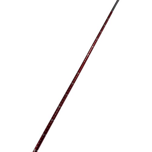 ブラックダイアモンド ガイドプローブ300 未使用