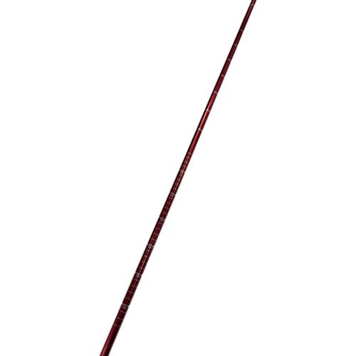 BLACK DIAMOND (ブラックダイヤモンド) プローブ 300cm レッド ガイドプローブ300