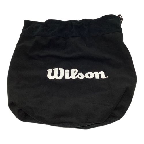 Wilson (ウィルソン) ヘルメット NPBマーク有 審判用 WTA5590BLNPB