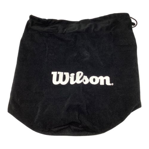 Wilson (ウィルソン) ヘルメット NPBマーク有 審判用 WTA5590BLNPB