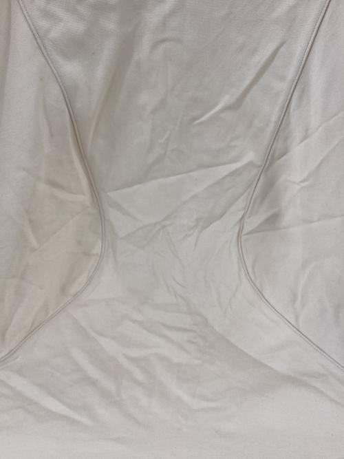 ALITE (エーライト) アウトドアチェア ベージュ 廃盤品 バイソンチェア