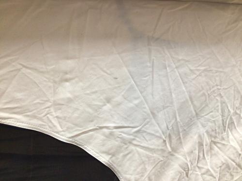 Coleman (コールマン) ロッジテント WILD-1記念モデル 2000018377 オアシスミニ 約300×240×200(h)cm 3～5人用