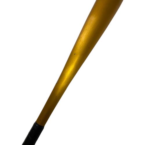MIZUNO (ミズノ) V KONG02 HS700 硬式バット 1CJMH701 80cm ゴールド