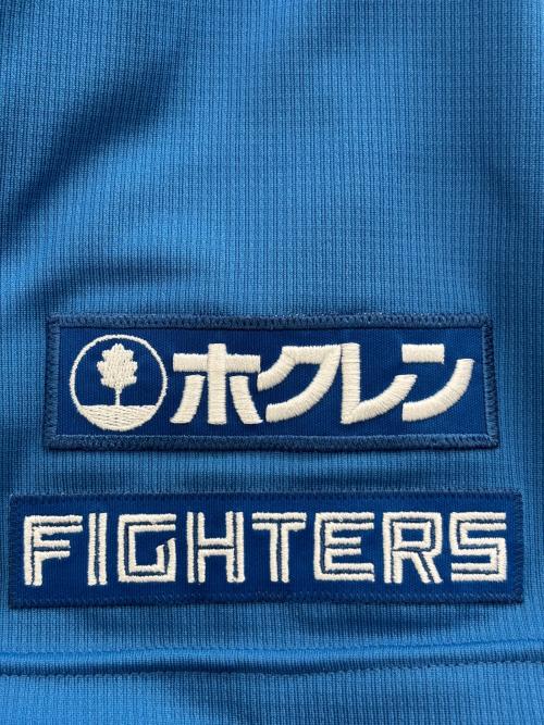 北海道日本ハムファイターズ (ホッカイドウニッポンハムファイターズ