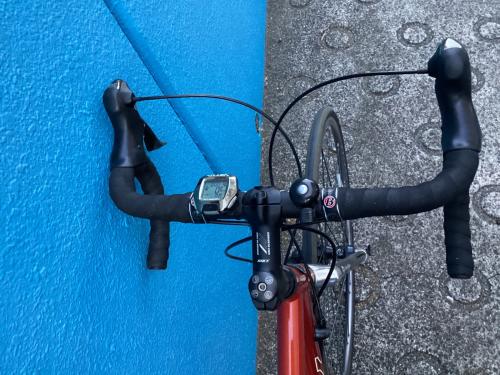 TREK (トレック) ロードバイク オレンジ 1437U026FB1040 適応