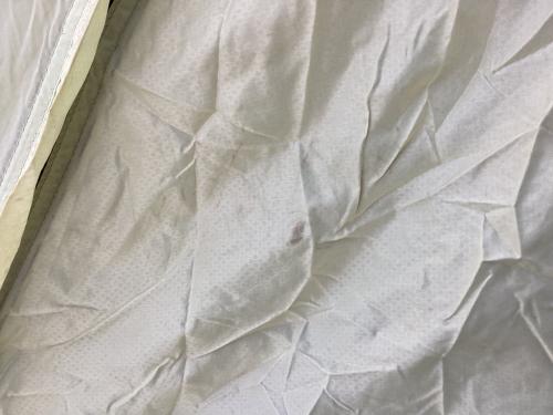 Walrus (ウォーラス) ドームテント WARP-2