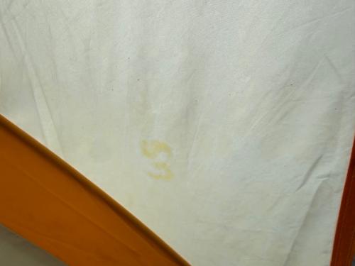 Walrus (ウォーラス) ドームテント MOUTNTAIN-360 SOLID