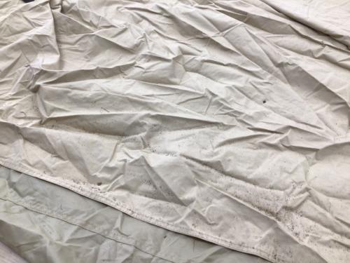 SABBATICAL (サバティカル) シェルター スカイパイロット TC 約720×380×270㎝