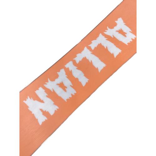 ALLIAN (アライアン) DAMAGE スノーボード 153cm