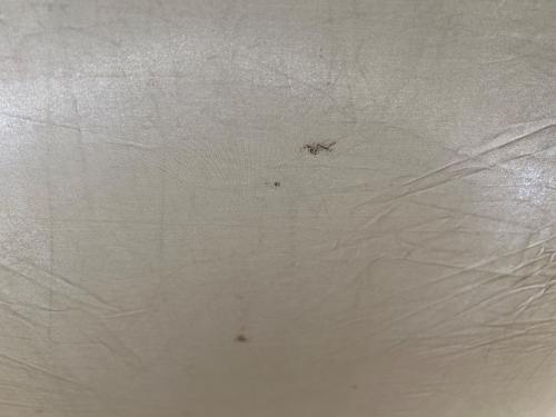 OGAWA (オガワ) ツールームテント 2777 アポロンS