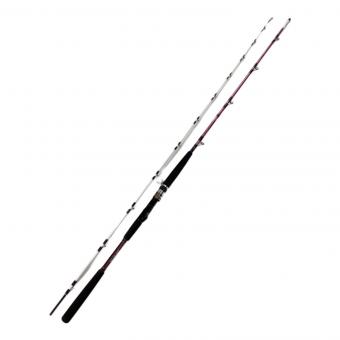 DAIWA (ダイワ) リーオマスター真鯛SX ロッド(釣竿) S-255