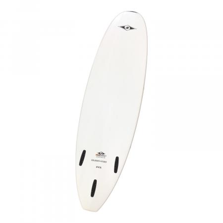 BIC SURF (ビッグサーフ) mini malibu ミッドレングス/ファンボード