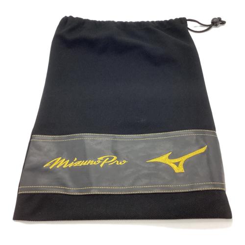 MIZUNO (ミズノ) ミズノプロ 硬式グローブ W17500 ケース付 ブラウン