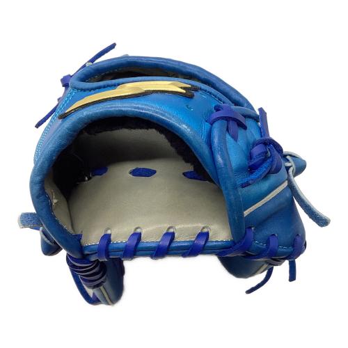 SSK (エスエスケー) ProEdge order professional 硬式グローブ D-8刻印 ブルー