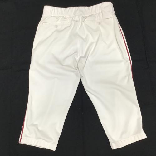 東北楽天ゴールデンイーグルス 【81】種田仁 ホワイト 2011年選手支給