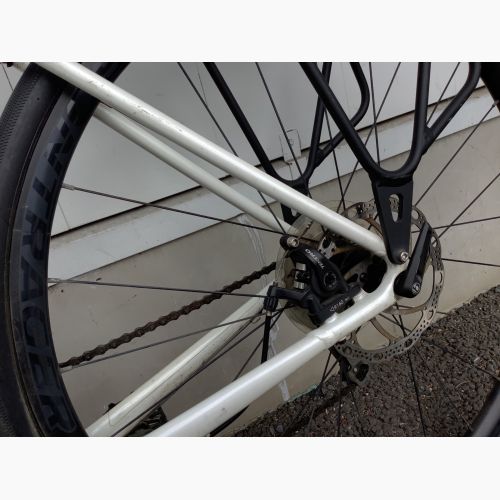 TREK (トレック) ロードバイク 54cm ホワイト 21-2022年モデル リアライト・ドリンクホルダー WTU163C9174S DOMANE AL 3 適応身長【約162～180cm】 ソラ