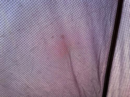 MOBI GARDEN (モビガーデン) シェルター コマンダー185 約330×380×185cm 2～3人用