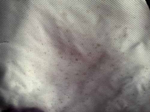 MOBI GARDEN (モビガーデン) シェルター コマンダー185 約330×380×185cm 2～3人用