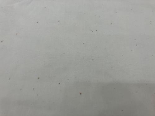 Nordisk (ノルディスク) レクタタープ カーリ 12 約300×400cm 2～3人用 コットン素材