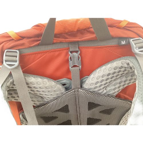 GREGORY (グレゴリー) バックパック レッド×オレンジ Mサイズ BALTORO65 背面長 約46～50cm 50L～(テント泊)