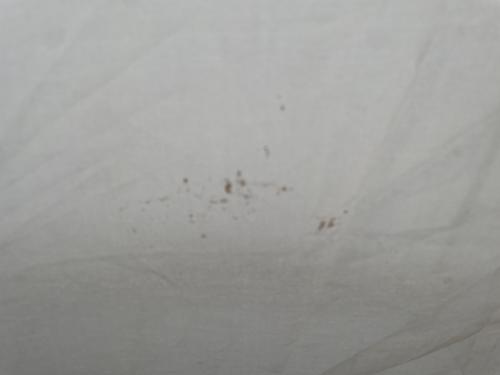 Nordisk (ノルディスク) ツールームテント レイサ6PU