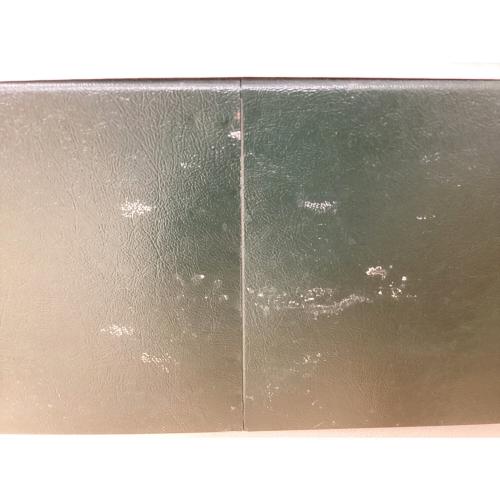 Coleman (コールマン) スチールベルト54 クーラーボックス ヴィンテージ ※現状販売 グリーン