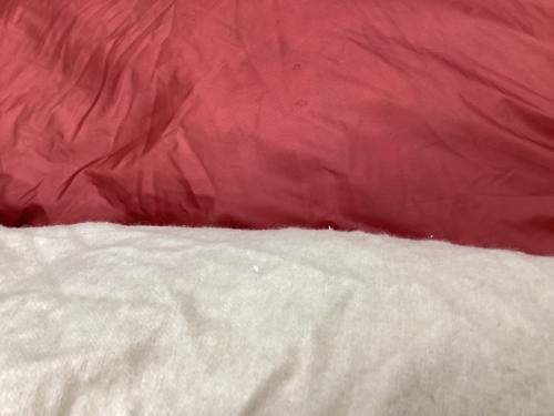 Snow peak (スノーピーク) 封筒型シュラフ(ダウン) BDD-104 セパレートオフトンワイド1400 【冬用】