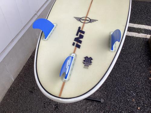 AL MERRICK (アルメリック) ソフトボード 5'10