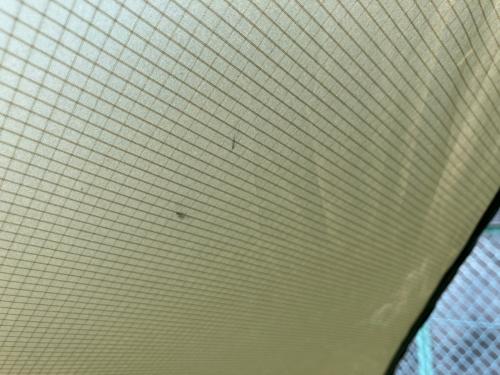 pre Tents (プレテンツ) その他タープ 星型 ブラウン LOST COAST