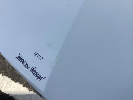 PLACEBO (プレセボ) ショートボード 5'8”x 20.00”x 2.50“-31.5cl Short