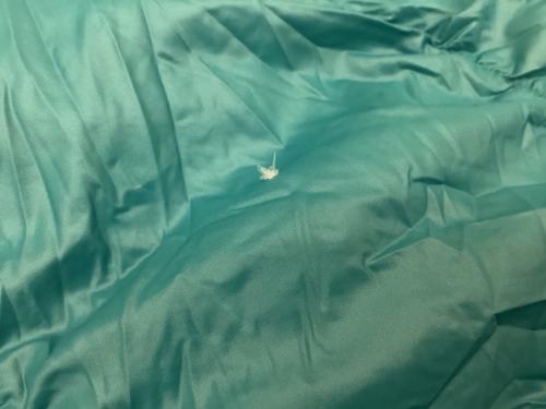 mont-bell (モンベル) 封筒型シュラフ(ダウン) 1121210 スーパー スパイラルダウンハガー#3 ～183cmまで