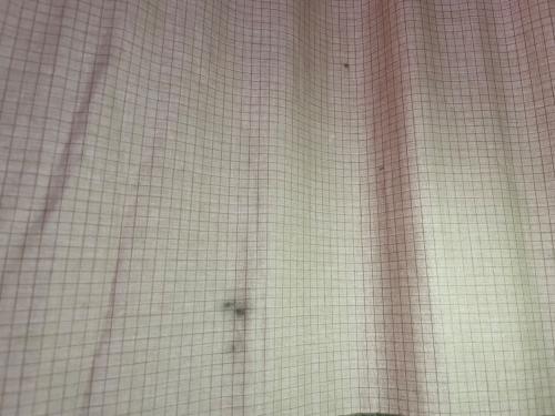 We are not brand (ウィーアーノットブランド) モノポールテント 土ヨゴレ有 C2 TENT