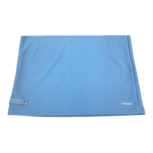 日本代表 (ニホンダイヒョウ) サッカーユニフォーム SIZE M スカイブルー JFA100周年記念ユニ GU1929