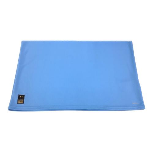 マンチェスターシティ (マンチェスター・シティ) サッカーユニフォーム SIZE L スカイブルー 22/23ホーム アーリング・ハーランド【9】 UEFAチャンピオンズリーグ限定 765710