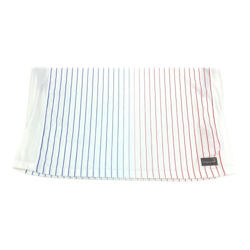 フランス代表 (フランスダイヒョウ) サッカーユニフォーム メンズ SIZE L ホワイト 2024 アウェイ EUROモデル オーセンティック