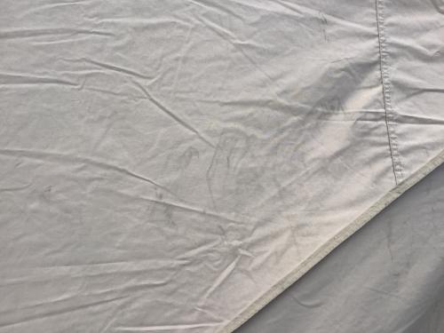 SABBATICAL (サバティカル) シェルター モーニンググローリーTC 約470×440×270cm 3～5人用 程度B 程度B スカートあり