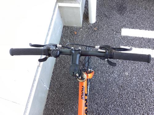 giant (ジャイアント) クロスバイク オレンジ　IDIOM1